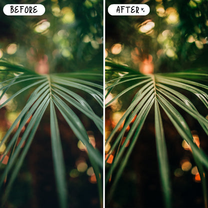 10 Hawaii LIGHTROOM Presets Mobile & Desktop