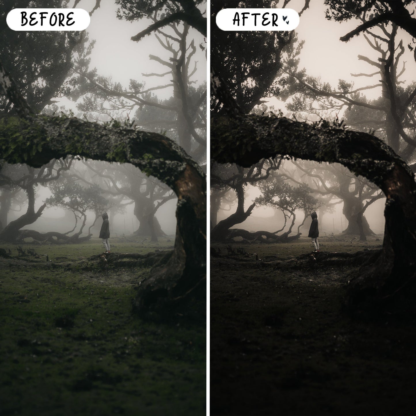10 Gothic LIGHTROOM Presets Mobile & Desktop