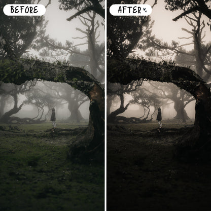 10 Gothic LIGHTROOM Presets Mobile & Desktop