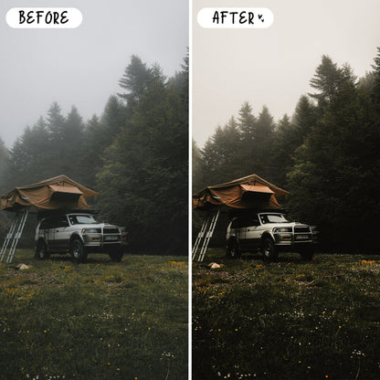 10 Wander LIGHTROOM Presets Mobile & Desktop