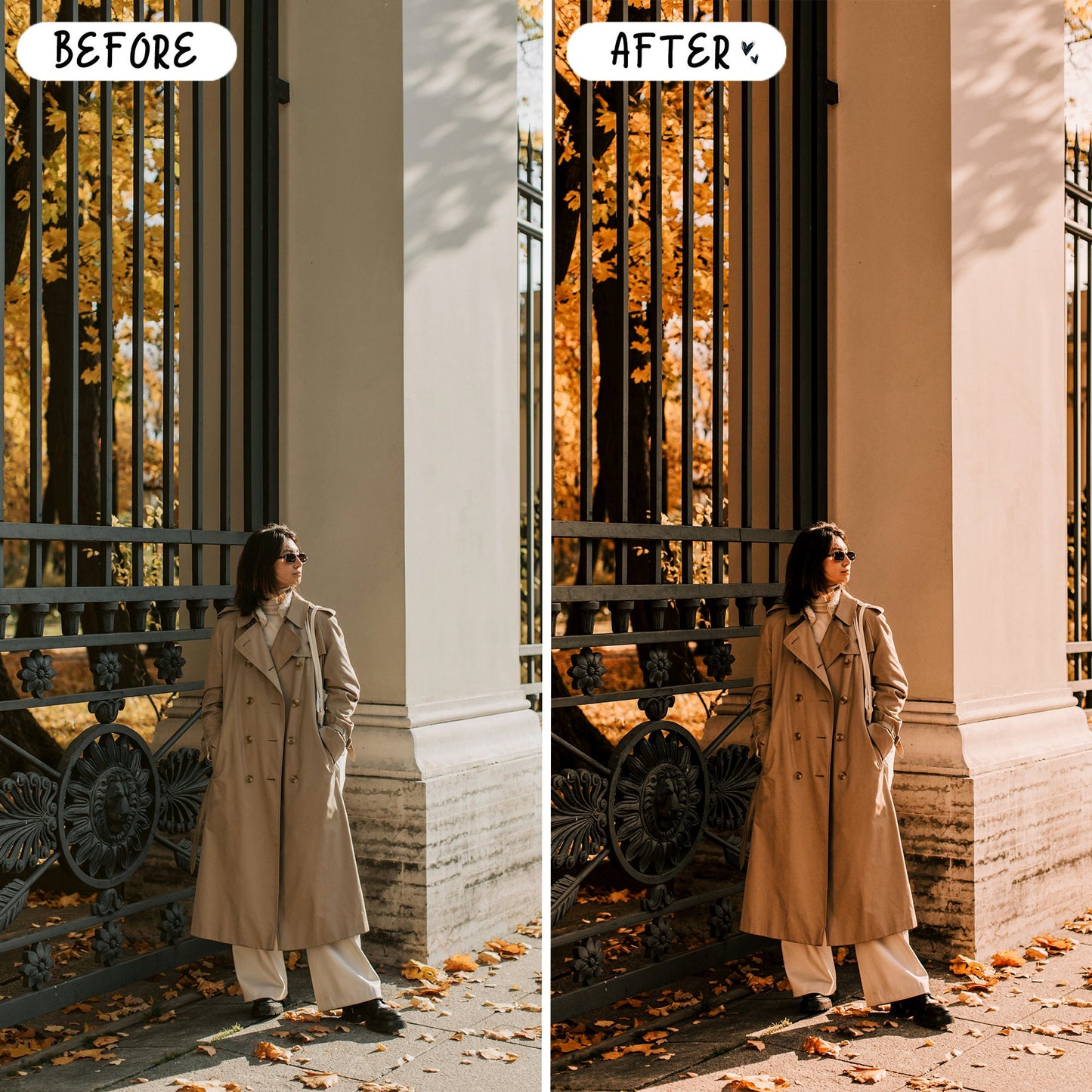 10 Harvest LIGHTROOM Presets Mobile & Desktop