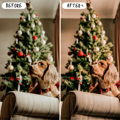 10 Holiday LIGHTROOM Presets Mobile & Desktop
