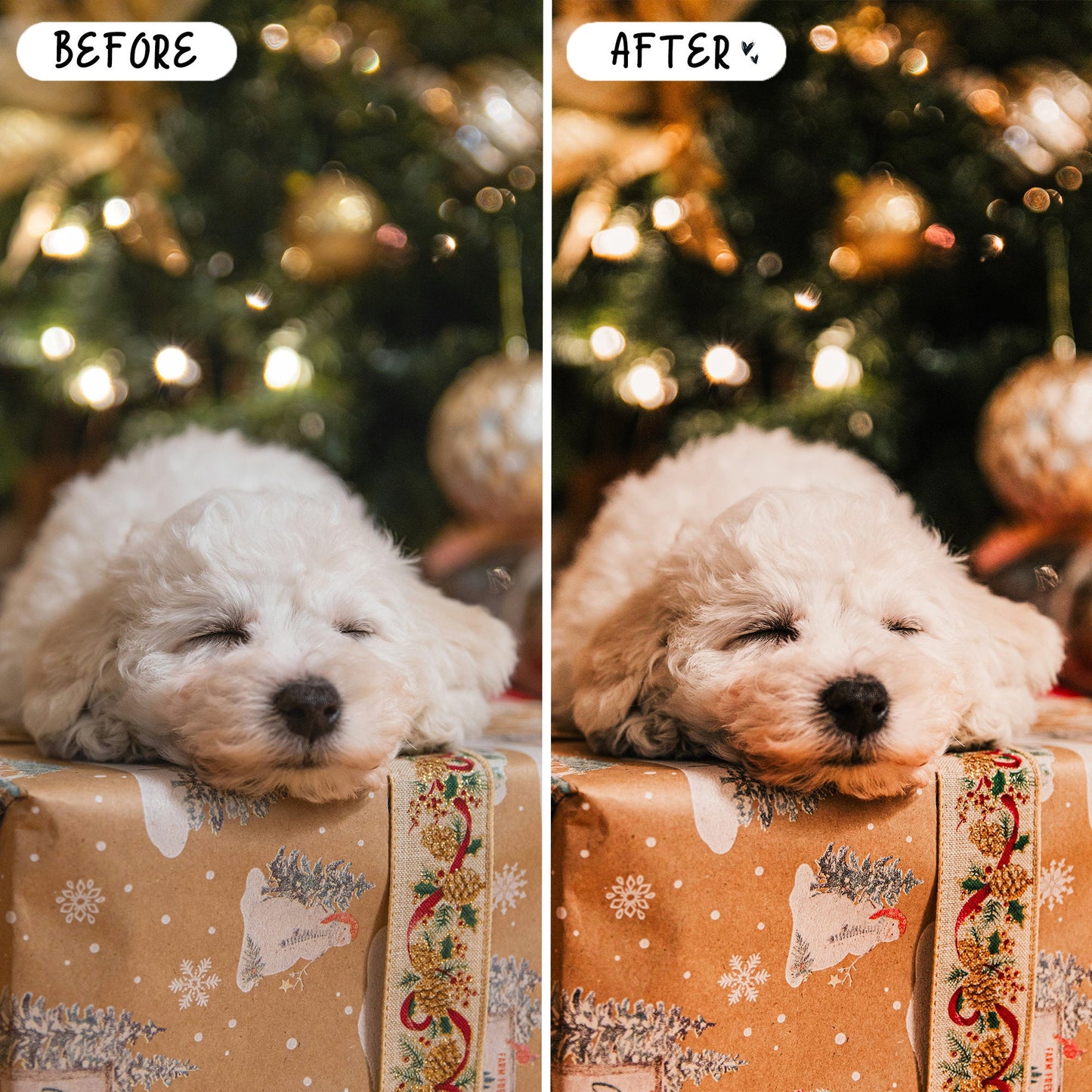 10 Holiday LIGHTROOM Presets Mobile & Desktop