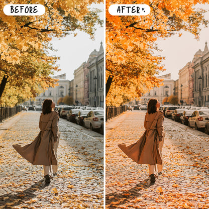10 Harvest LIGHTROOM Presets Mobile & Desktop