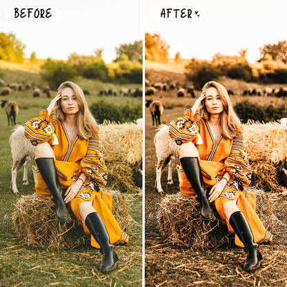 10 Bohemian LIGHTROOM Presets Mobile & Desktop