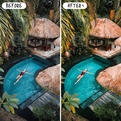 10 Papaya LIGHTROOM Presets Mobile & Desktop