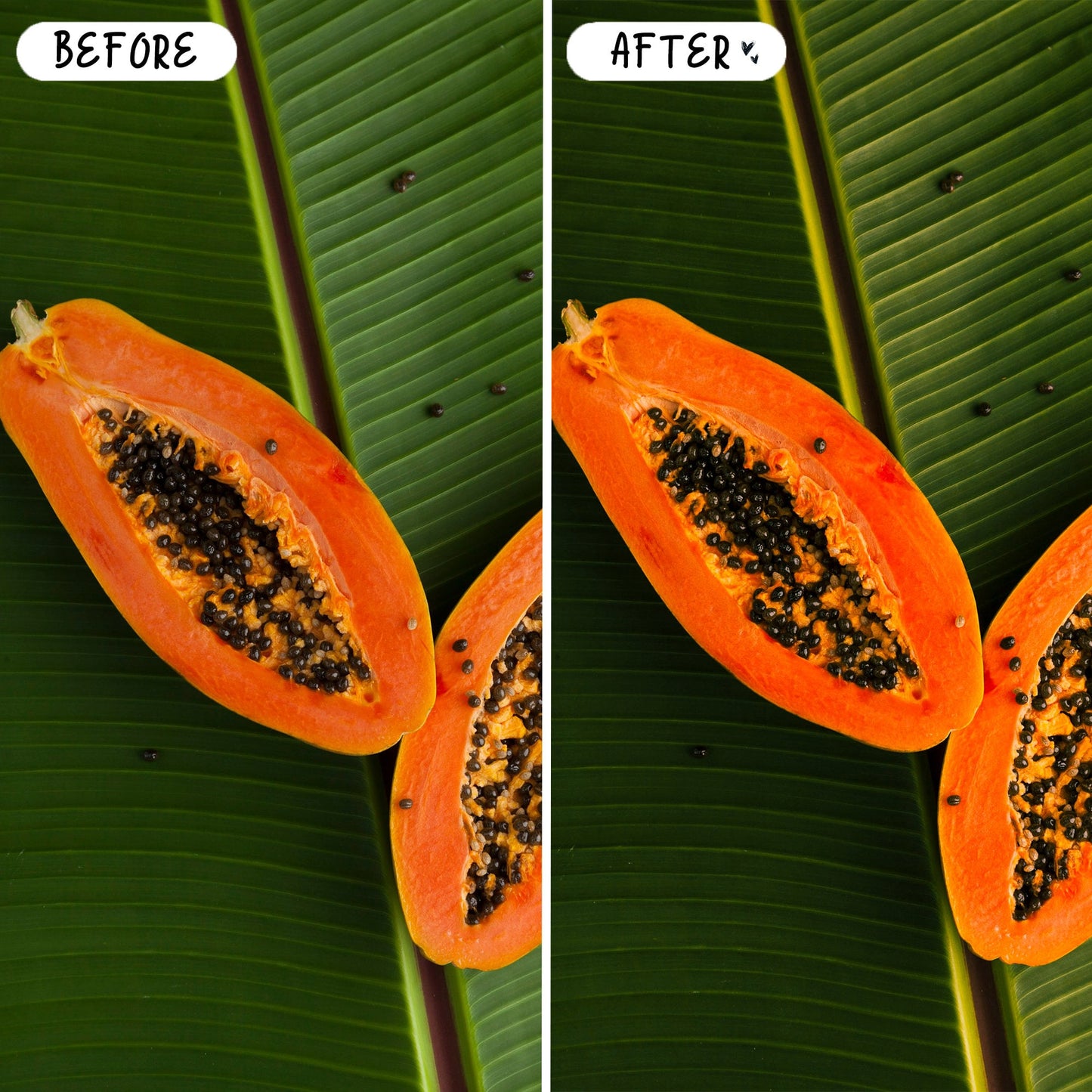 10 Papaya LIGHTROOM Presets Mobile & Desktop