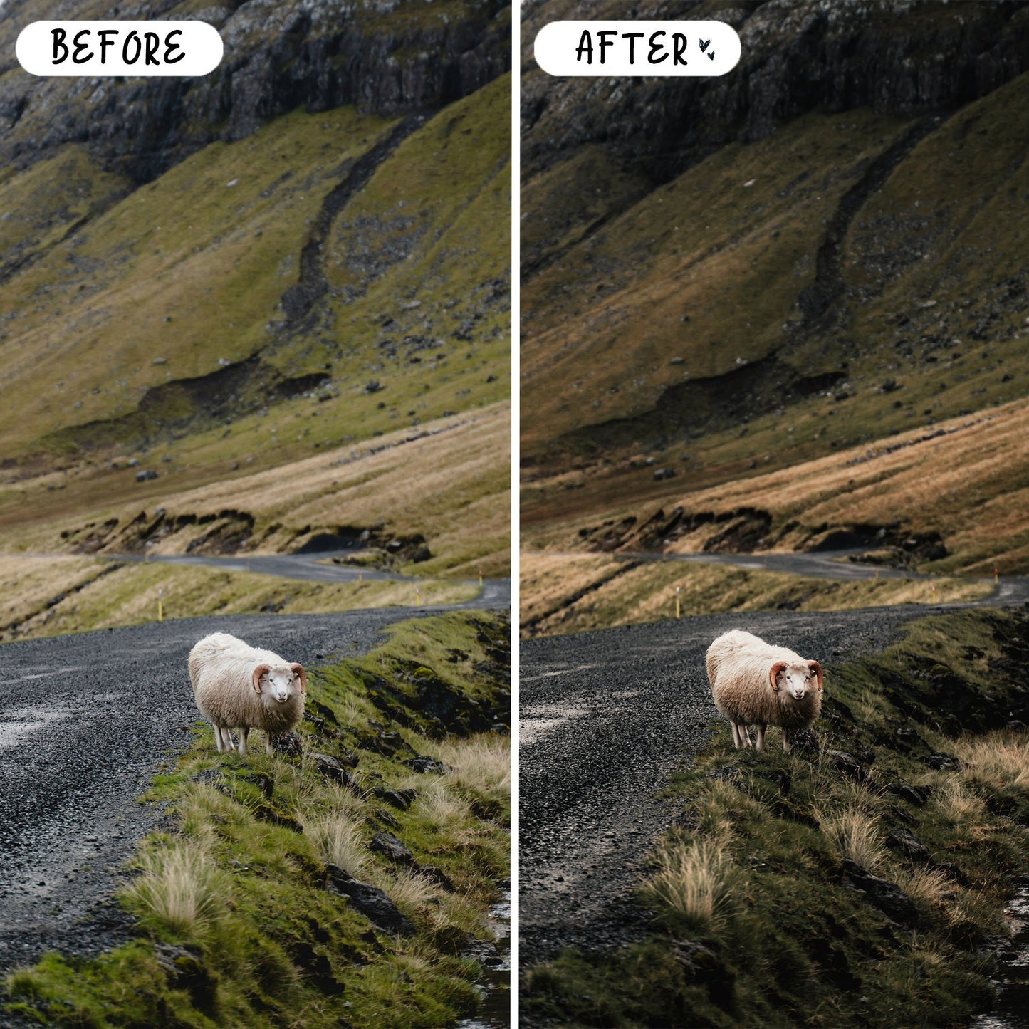 10 Nordic LIGHTROOM Presets Mobile & Desktop