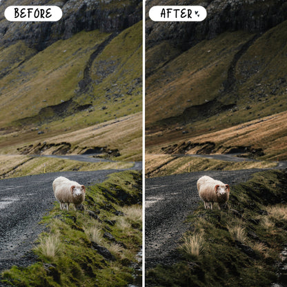 10 Nordic LIGHTROOM Presets Mobile & Desktop