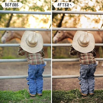 10 Equine LIGHTROOM Presets Mobile & Desktop