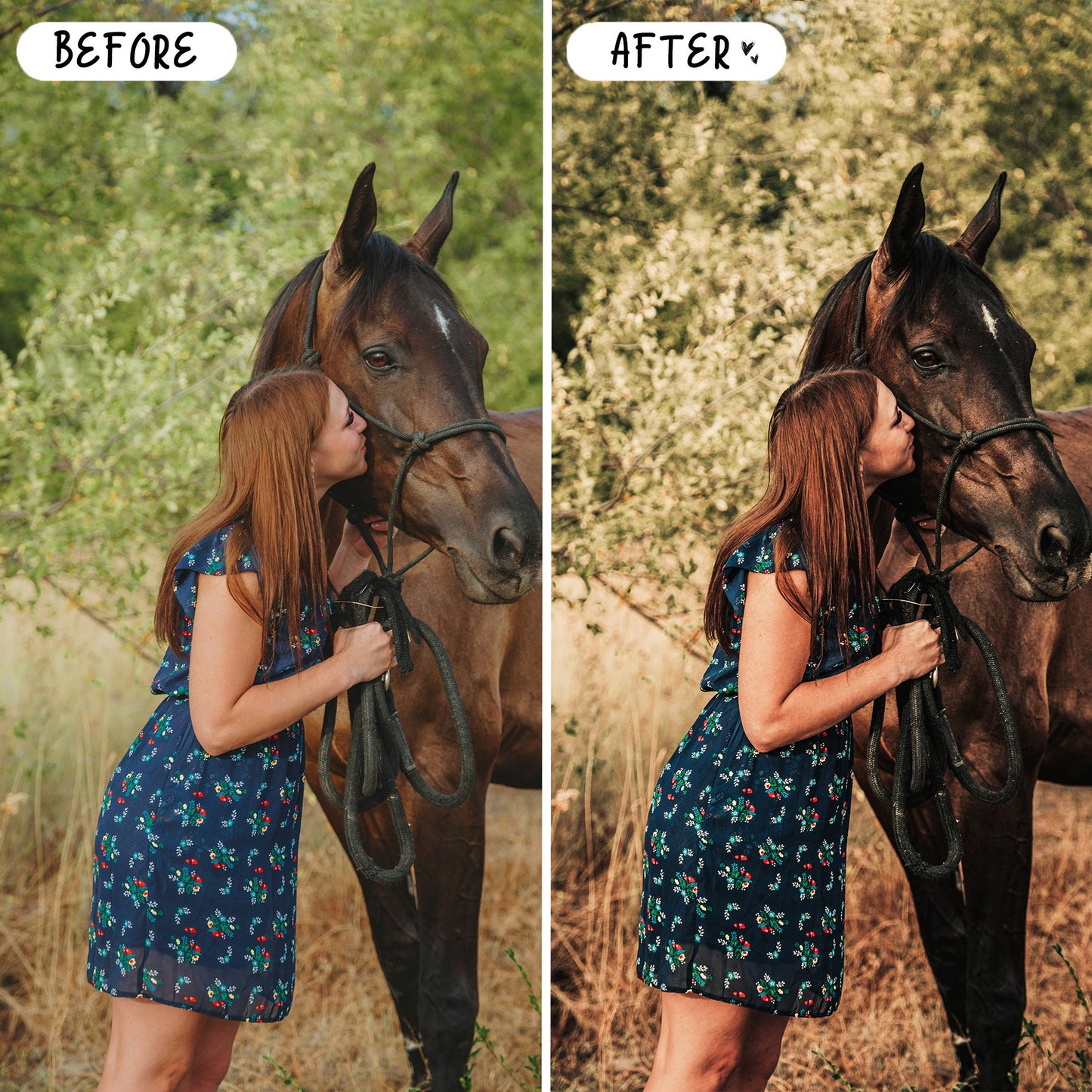 10 Equine LIGHTROOM Presets Mobile & Desktop