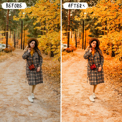 10 Fall LIGHTROOM Presets Mobile & Desktop