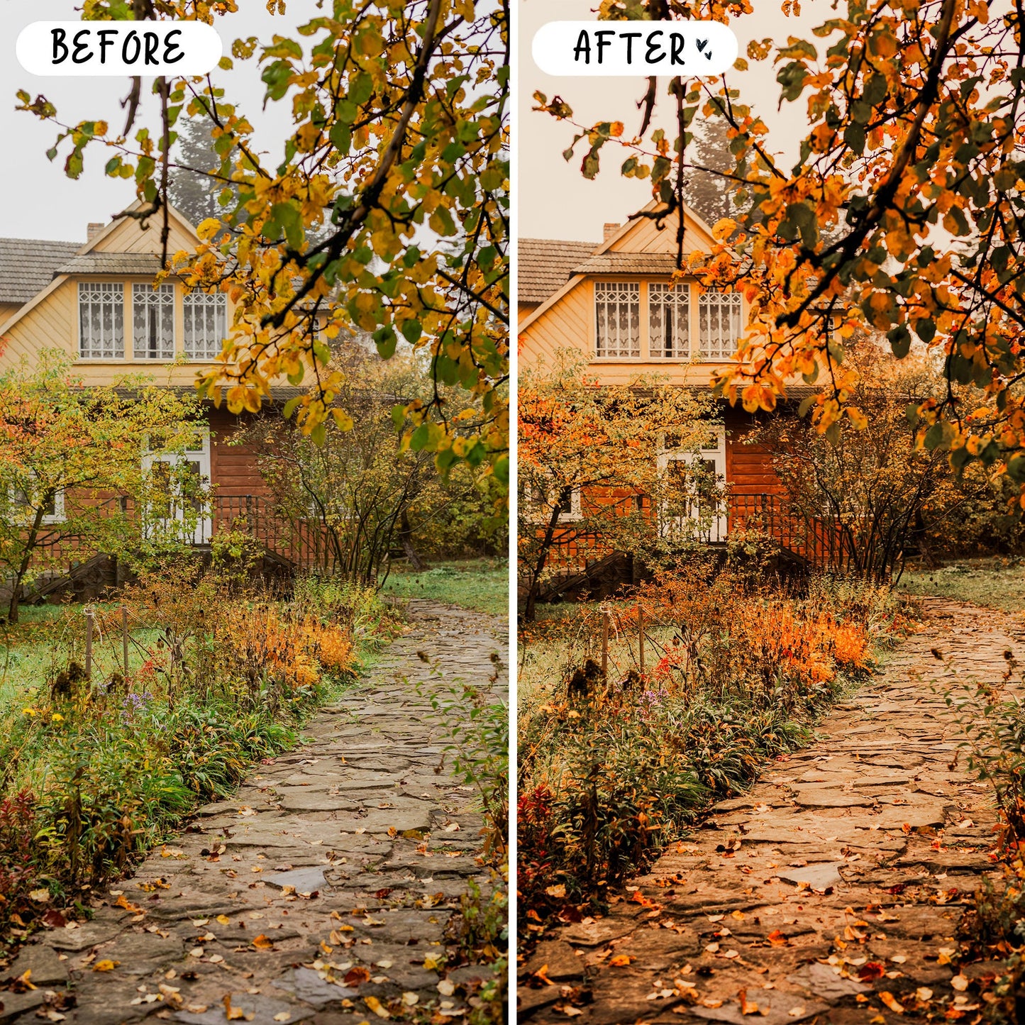 10 Fall LIGHTROOM Presets Mobile & Desktop
