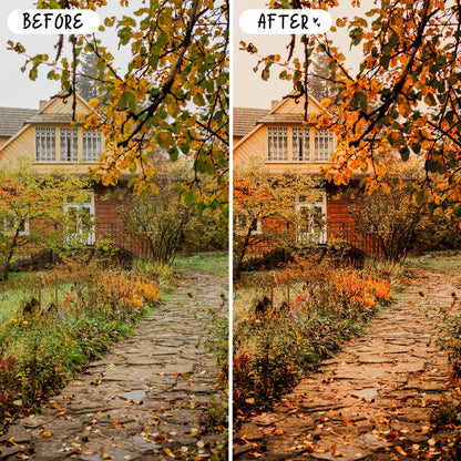 10 Fall LIGHTROOM Presets Mobile & Desktop