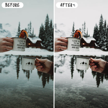 10 December LIGHTROOM Presets Mobile & Desktop
