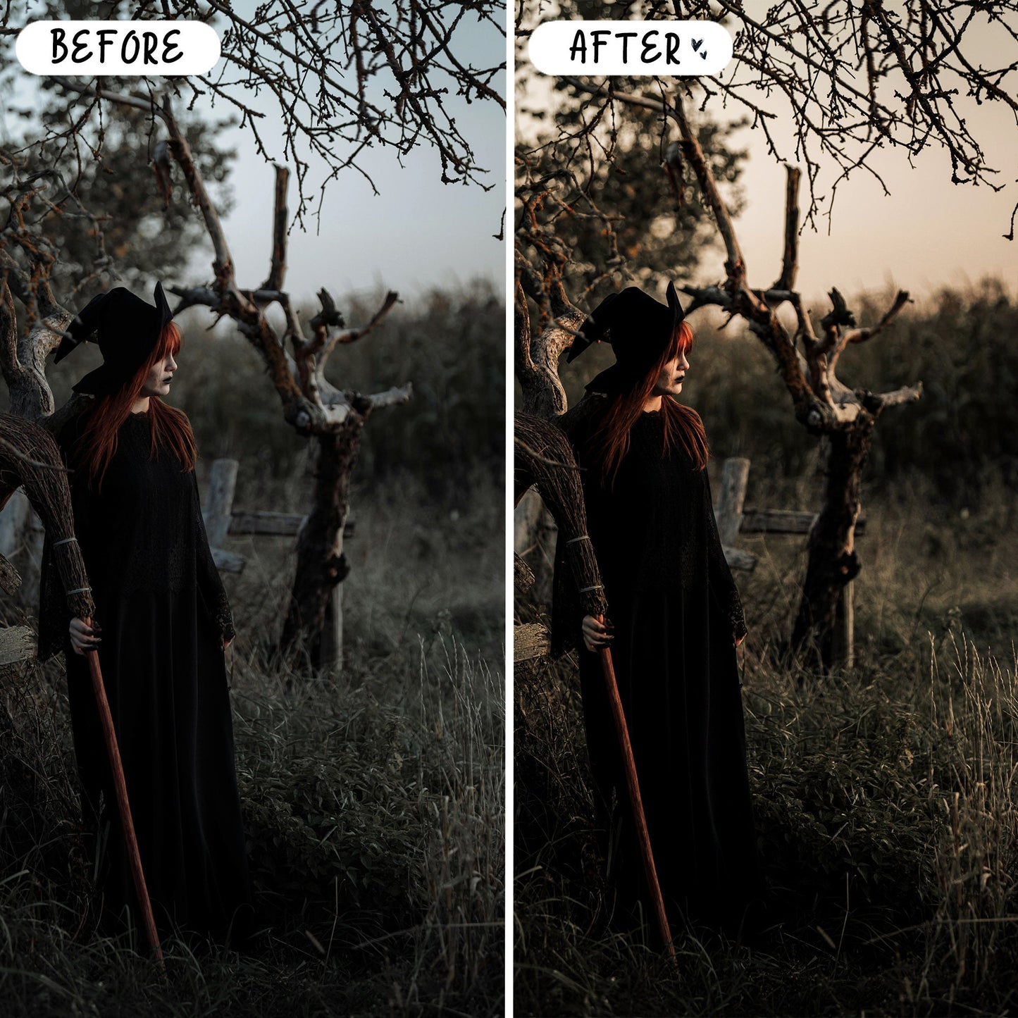 10 Halloween LIGHTROOM Presets Mobile & Desktop