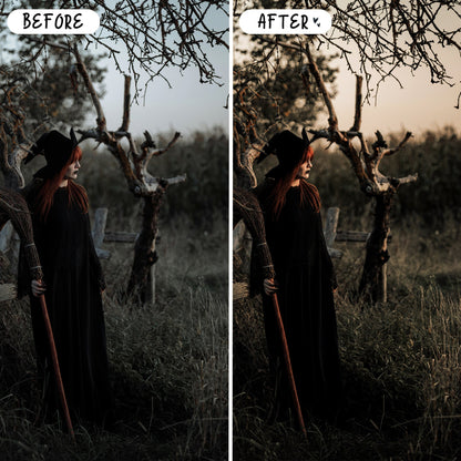 10 Halloween LIGHTROOM Presets Mobile & Desktop