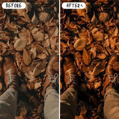 10 Moody Fall LIGHTROOM Presets Mobile & Desktop