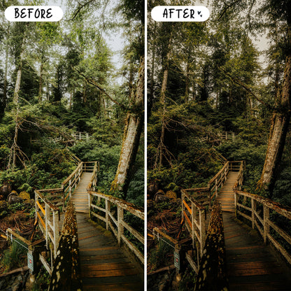 10 Adventure LIGHTROOM Presets Mobile & Desktop