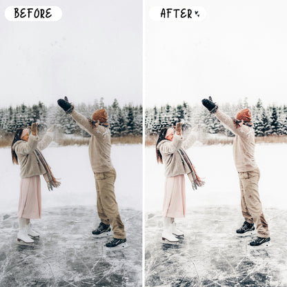 10 Snow LIGHTROOM Presets Mobile & Desktop