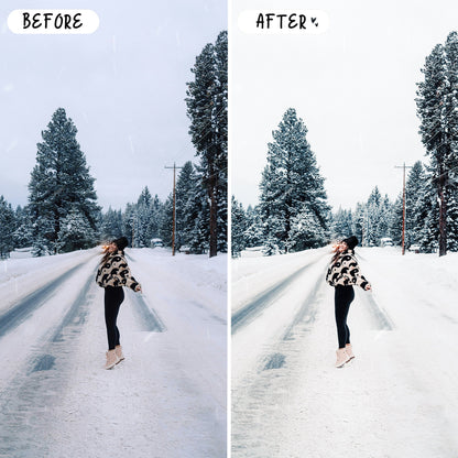 10 Snow LIGHTROOM Presets Mobile & Desktop