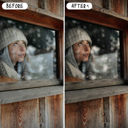 10 Nordic LIGHTROOM Presets Mobile & Desktop