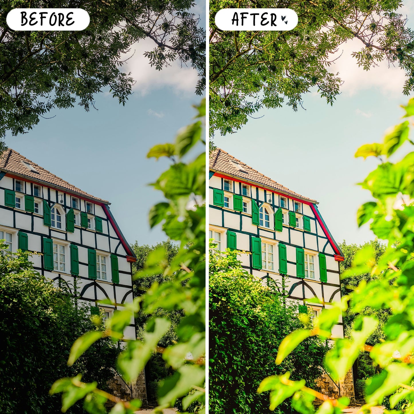 10 Vibrant LIGHTROOM Presets Mobile & Desktop