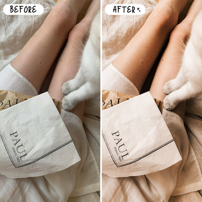10 Beige LIGHTROOM Presets Mobile & Desktop