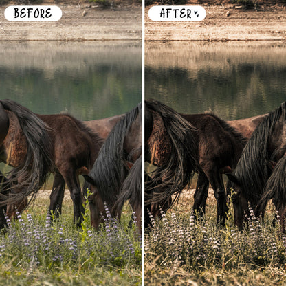 10 Equine LIGHTROOM Presets Mobile & Desktop