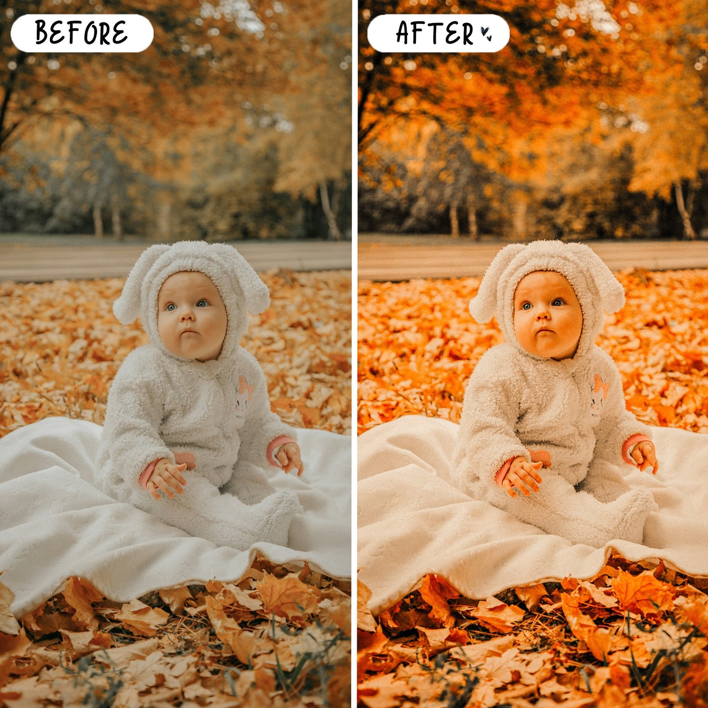 10 Fall LIGHTROOM Presets Mobile & Desktop