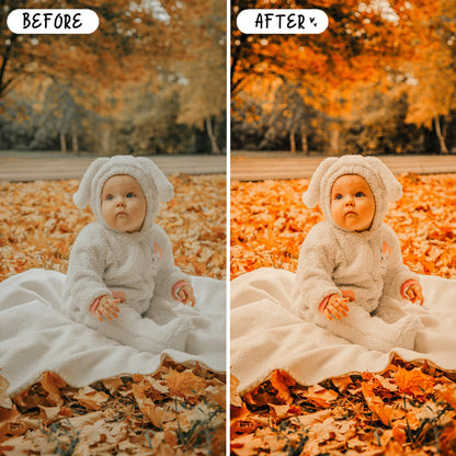 10 Fall LIGHTROOM Presets Mobile & Desktop