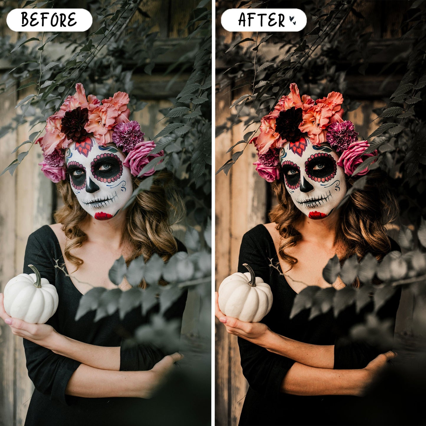10 Halloween LIGHTROOM Presets Mobile & Desktop