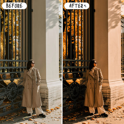 10 Moody Fall LIGHTROOM Presets Mobile & Desktop
