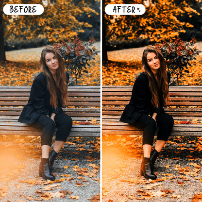 10 Moody Fall LIGHTROOM Presets Mobile & Desktop