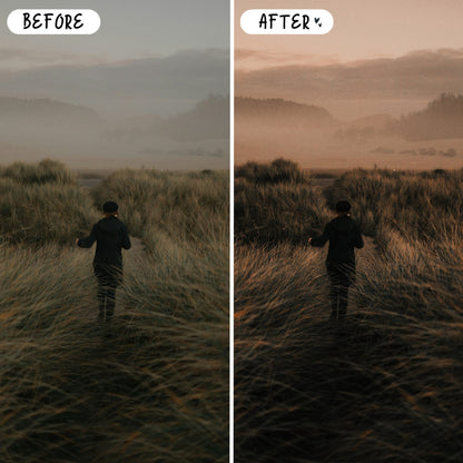 10 Muted LIGHTROOM Presets Mobile & Desktop
