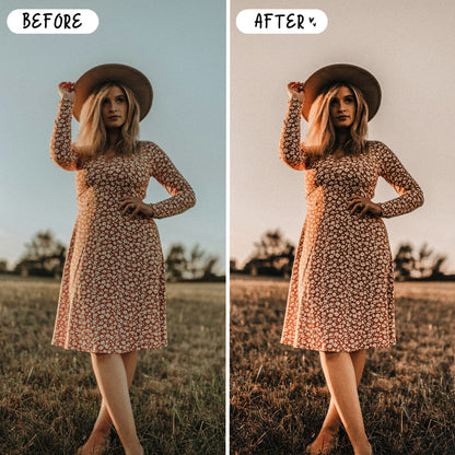 10 Muted LIGHTROOM Presets Mobile & Desktop