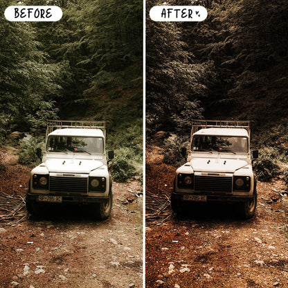 10 Muted LIGHTROOM Presets Mobile & Desktop