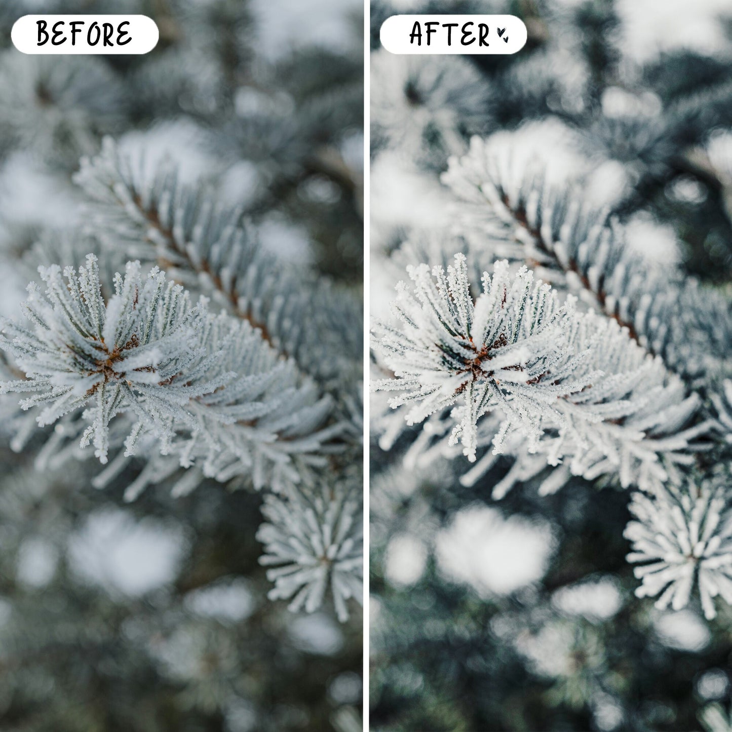 10 Snow LIGHTROOM Presets Mobile & Desktop
