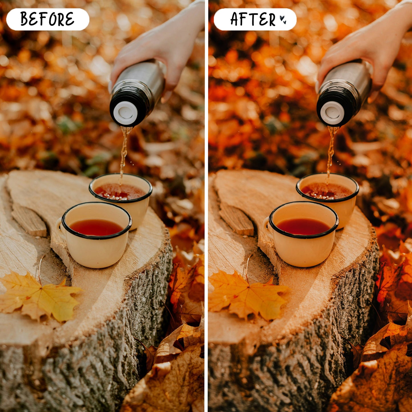 10 September LIGHTROOM Presets Mobile & Desktop