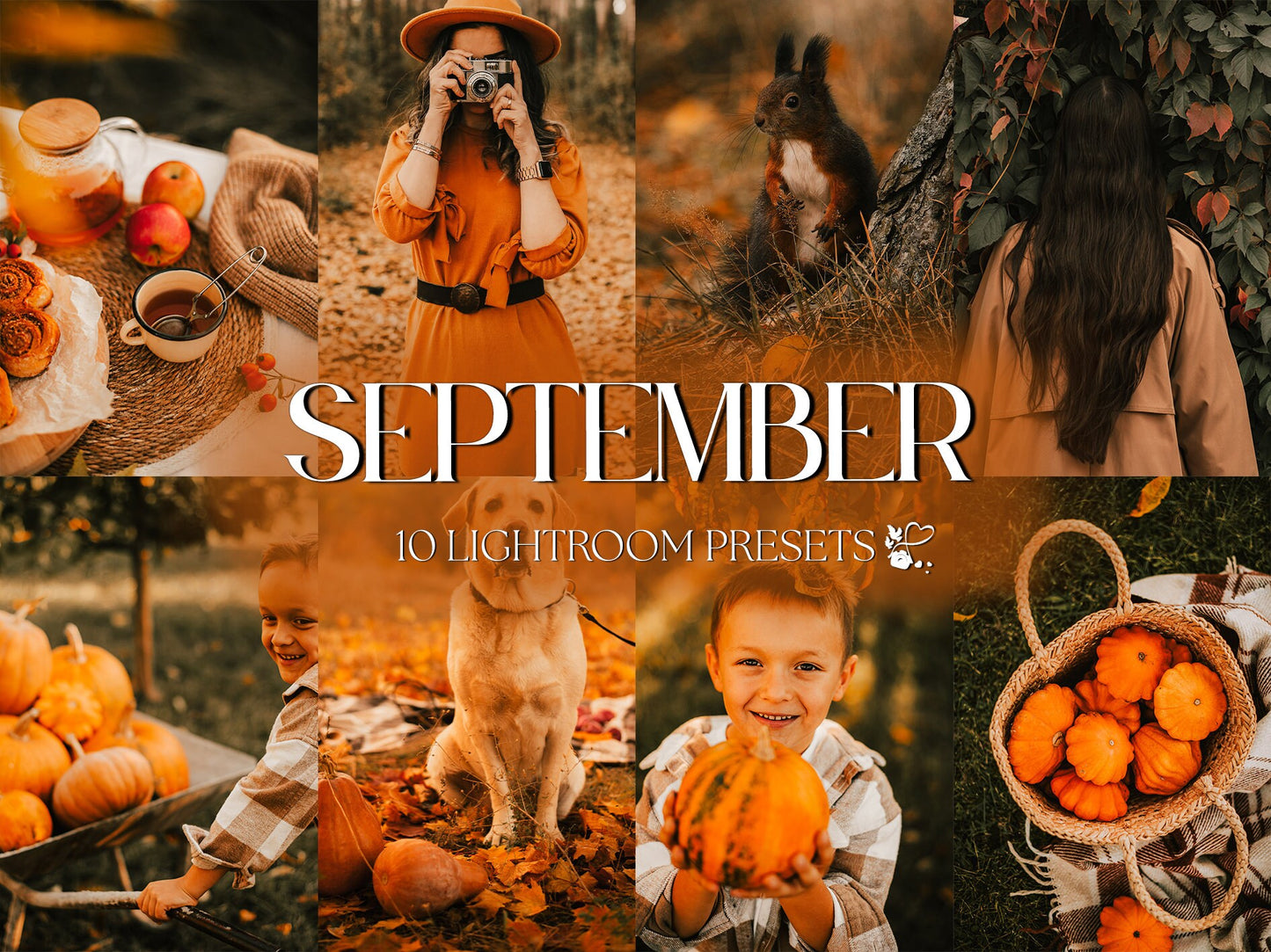 10 September LIGHTROOM Presets Mobile & Desktop