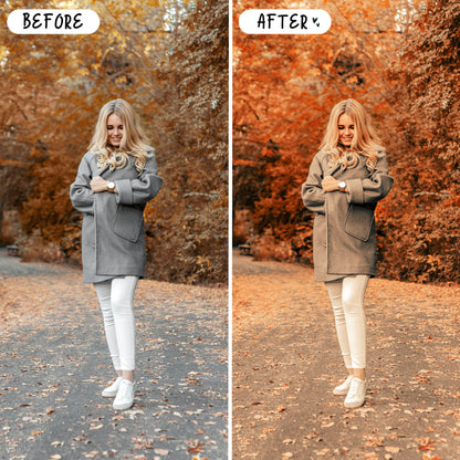 10 Harvest LIGHTROOM Presets Mobile & Desktop