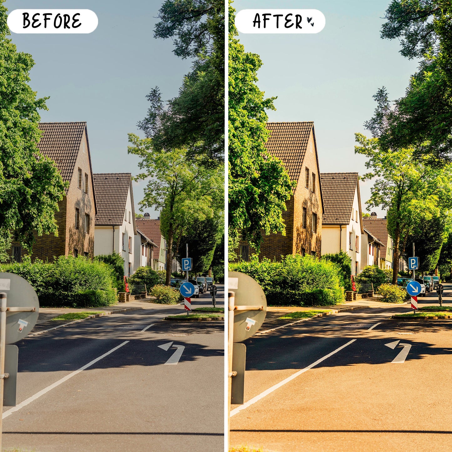 10 Vibrant LIGHTROOM Presets Mobile & Desktop