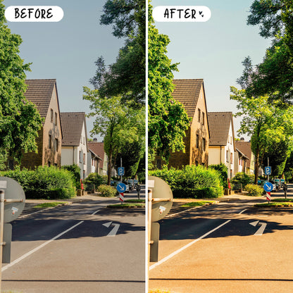 10 Vibrant LIGHTROOM Presets Mobile & Desktop