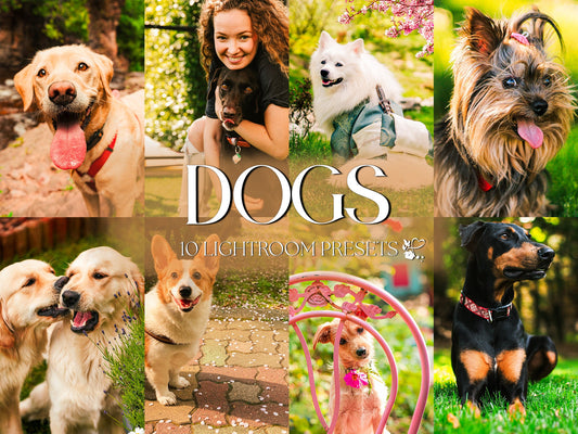 10 Dog LIGHTROOM Presets Mobile & Desktop