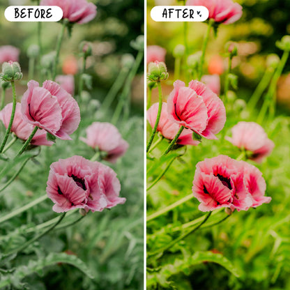 10 Vibrant LIGHTROOM Presets Mobile & Desktop
