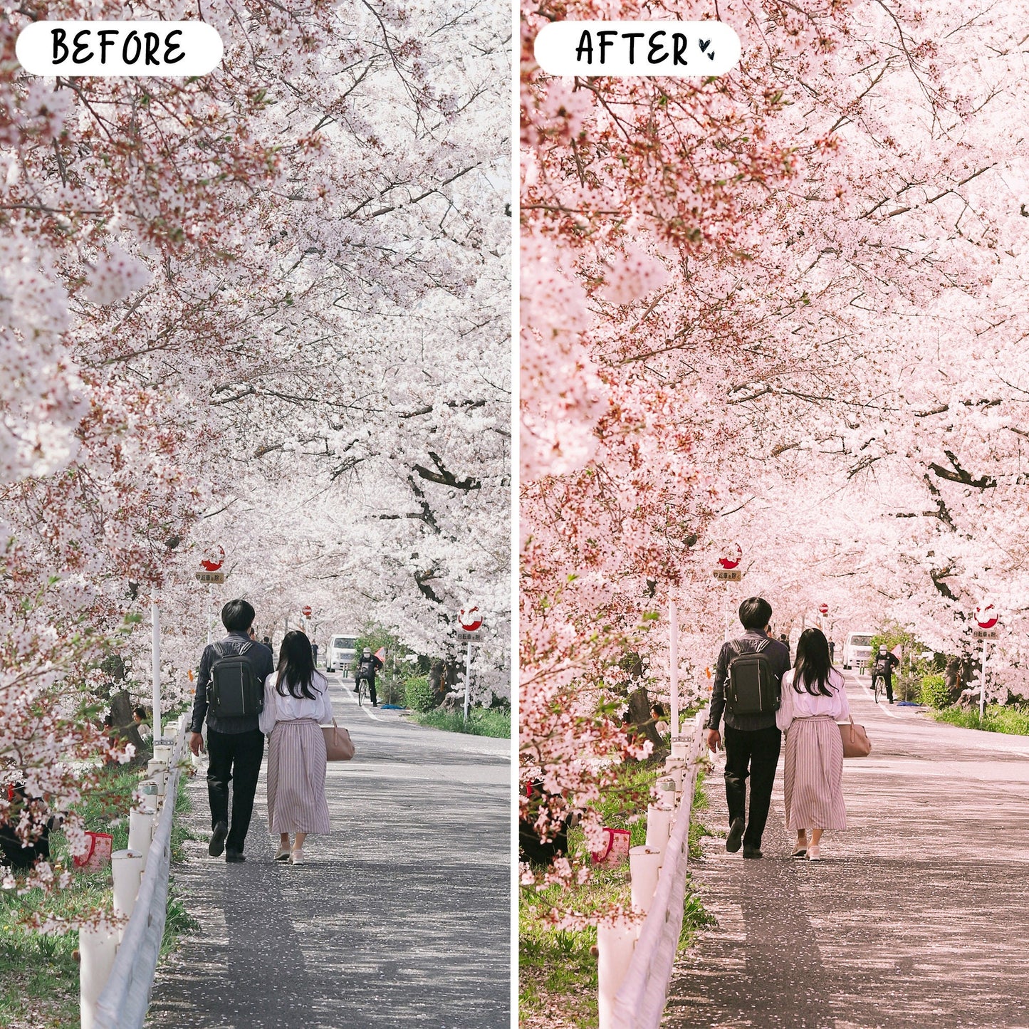 10 Peach LIGHTROOM Presets Mobile & Desktop