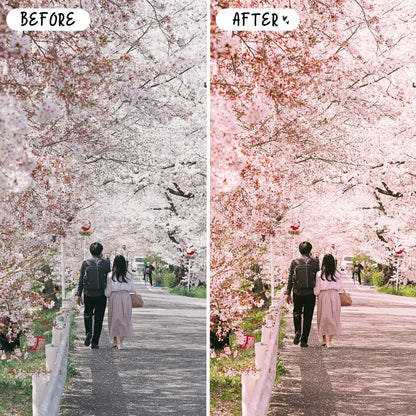 10 Peach LIGHTROOM Presets Mobile & Desktop