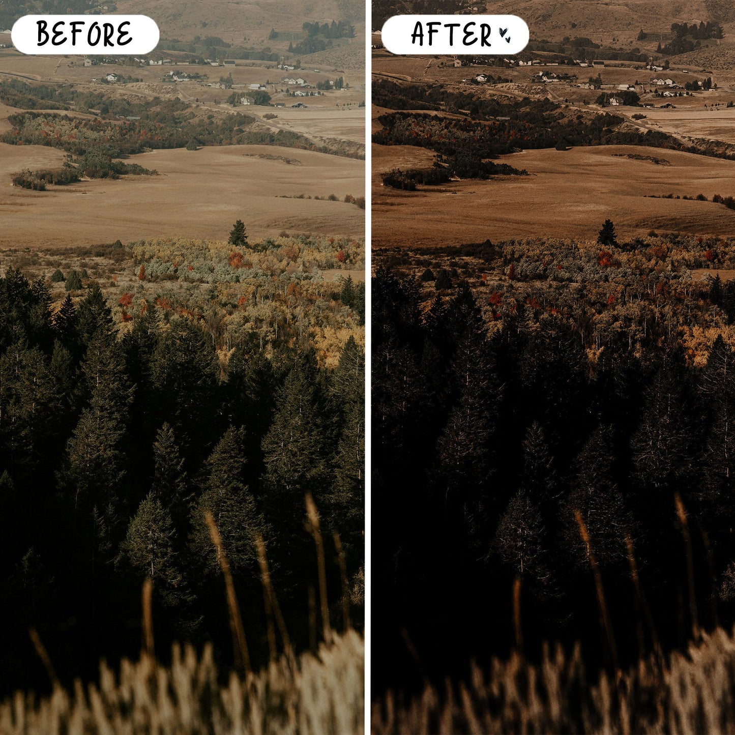 10 Muted LIGHTROOM Presets Mobile & Desktop