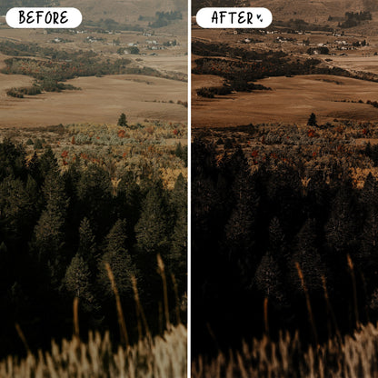 10 Muted LIGHTROOM Presets Mobile & Desktop