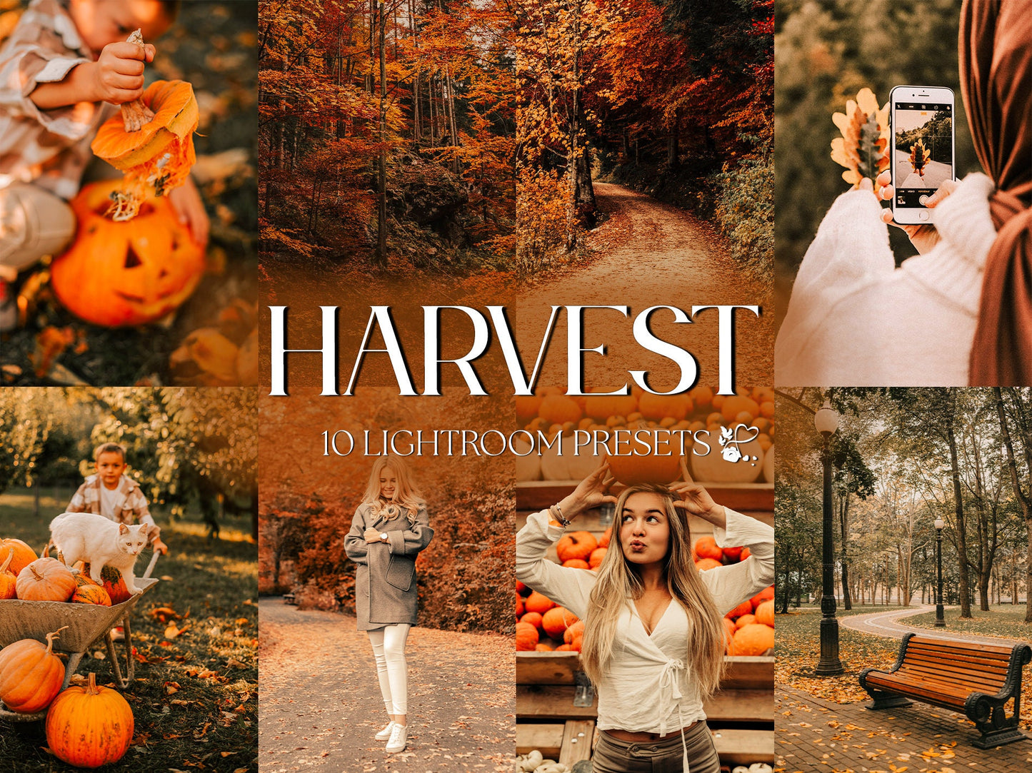 10 Harvest LIGHTROOM Presets Mobile & Desktop